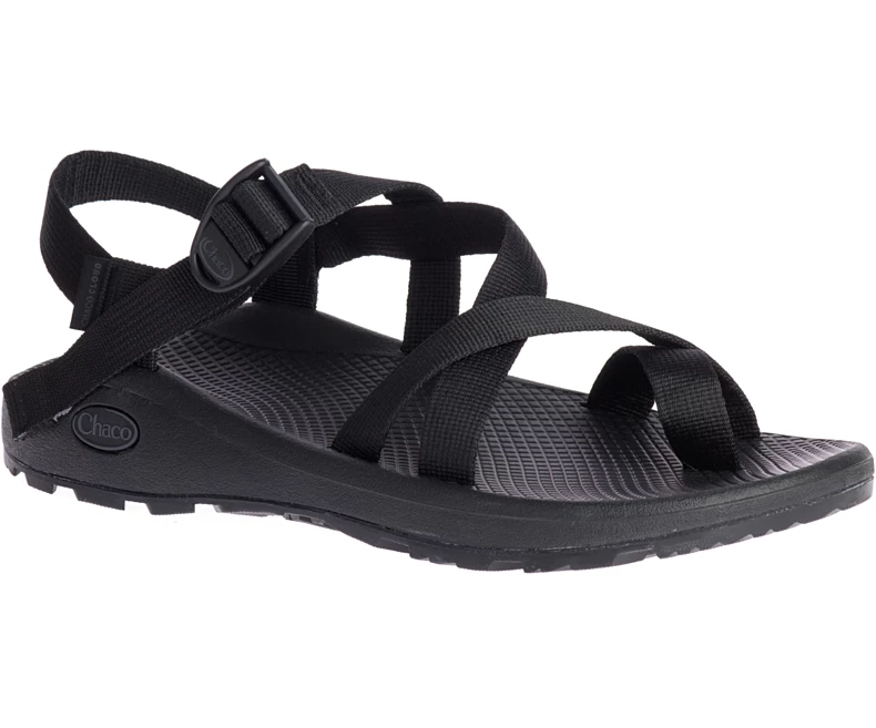 'Chaco' Men's ZCloud 2 Sandal - Black 3 'Chaco' Men's ZCloud 2 Sandal - Black