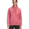 'The North Face' Women's Half Dome Pullover Hoodie - Slate Rose