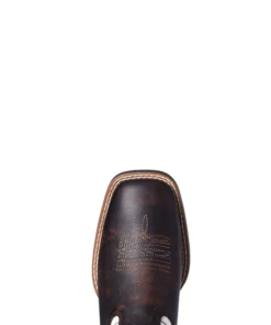 'Ariat' Youth 8" Sorting Pen Western Square Toe - Marbled Mahogany