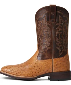'Ariat' Men's 11" Night Life Ultra Western Square Toe - Ranger Smooth Quill Ostrich / Beam Brown