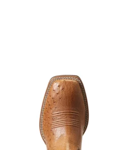 'Ariat' Men's 11" Night Life Ultra Western Square Toe - Ranger Smooth Quill Ostrich / Beam Brown