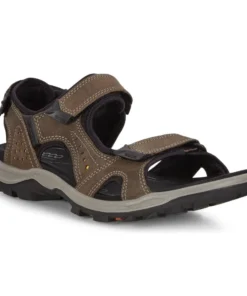 Ecco USA, Inc 'Ecco' Men's Offroad Sandal - Dark Clay