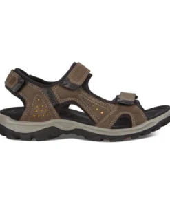 Ecco USA, Inc 'Ecco' Men's Offroad Sandal - Dark Clay