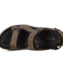 Ecco USA, Inc 'Ecco' Men's Offroad Sandal - Dark Clay