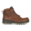 Ecco USA, Inc 'Ecco' Men's Track 25 WP Moc Toe Mid Hiker - Bison