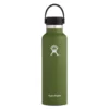 'Hydro Flask' 21 Oz. Standard Mouth W/Flex Cap - Olive Gear