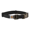 Carhartt Pet 'Carhartt' Tradesman Collar - Black